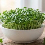 bezelye mikrogreen